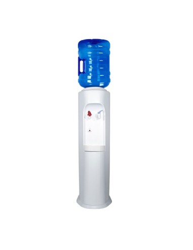 Elegance dispenser single piece refillable bottle